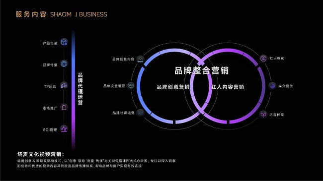 烧麦文化丨一站式内容营销助力品牌赢得“人心红利”(图3)