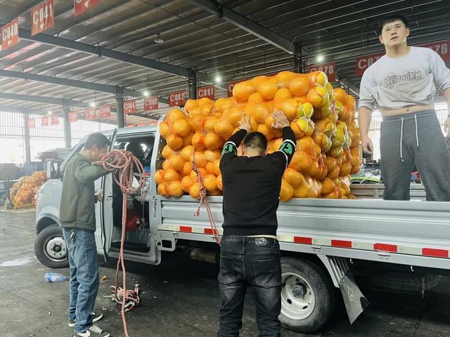 批发价低至1元日销售突破40万斤！柑橘迎来黄金季……(图1)