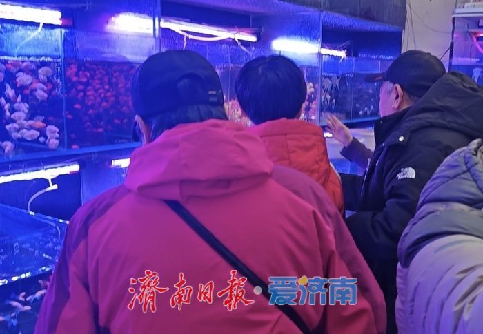 年宵花、观赏鱼销售升温济南花鸟市场迎来节前采购“热”(图4)